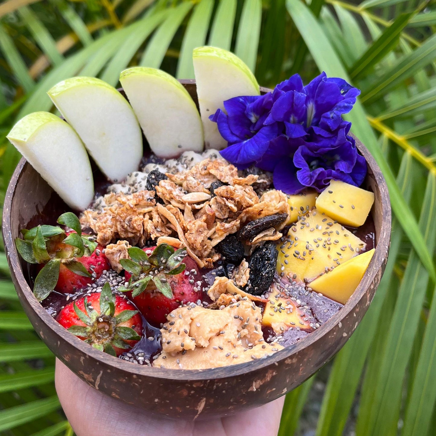 Bowl Acai